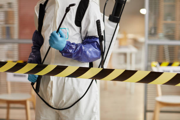 Professional Sewage Cleanup technician working in Longbranch, WA