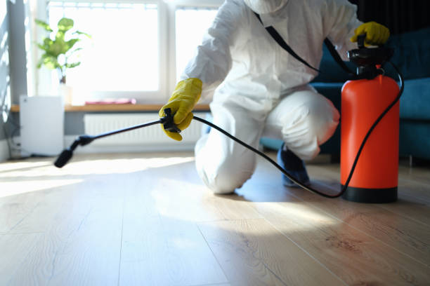 Reliable Sewage Cleanup contractor in Longbranch, WA by Trauma Clean Pros